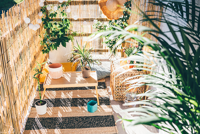 begrünter Balkon und nachhaltiger Einrichtung